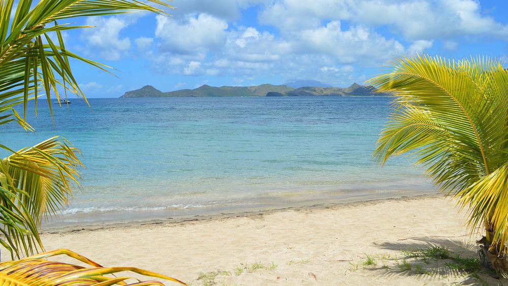Oualie Beach Resort Nevis Bagian luar foto