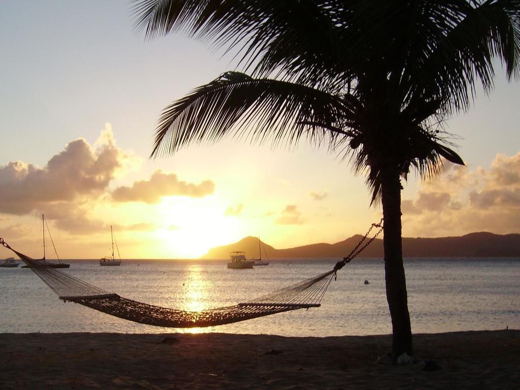 Oualie Beach Resort Nevis Bagian luar foto
