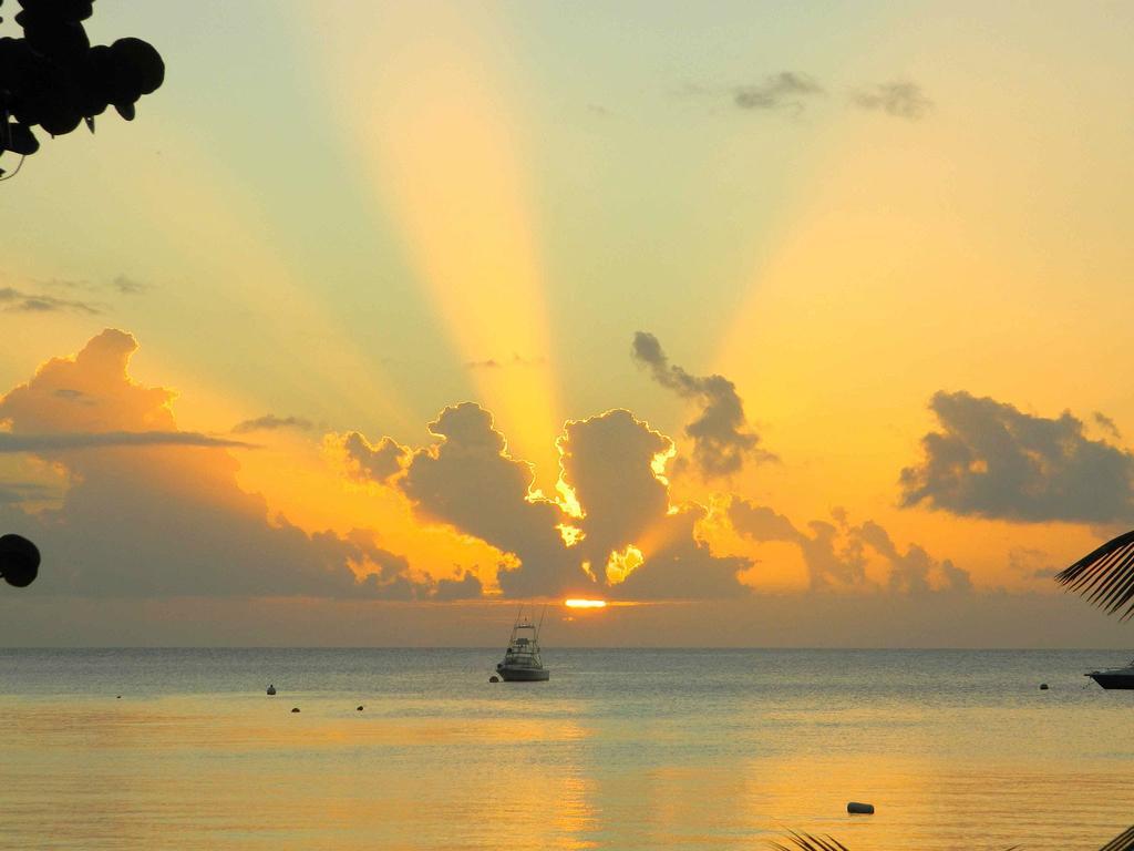 Oualie Beach Resort Nevis Bagian luar foto